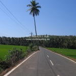 Mopedausflug Goa